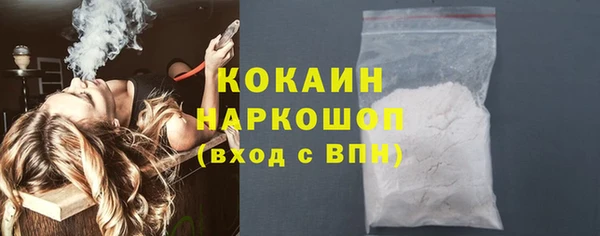 стаф Ладушкин