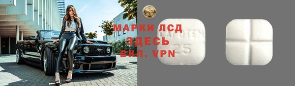стаф Ладушкин