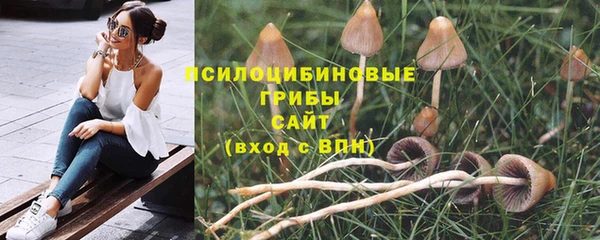прущая мука Лабытнанги