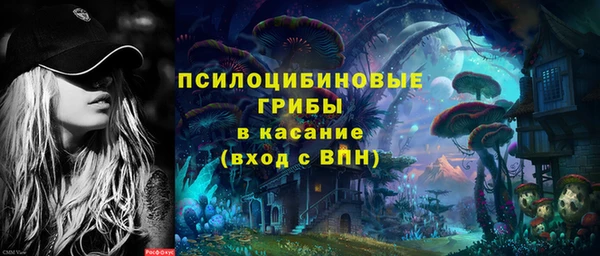 стаф Ладушкин
