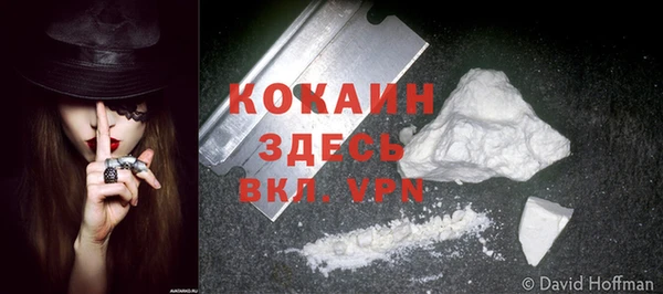 гашик Лиски