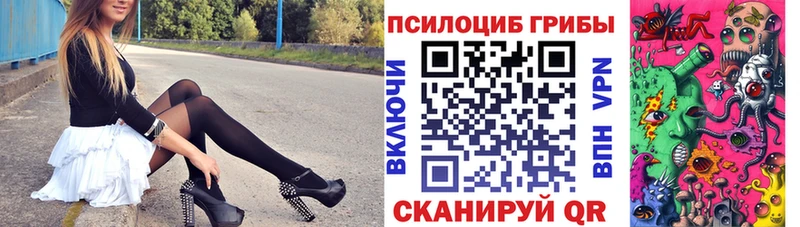 Галлюциногенные грибы Psilocybe  Купить где  Бавлы 